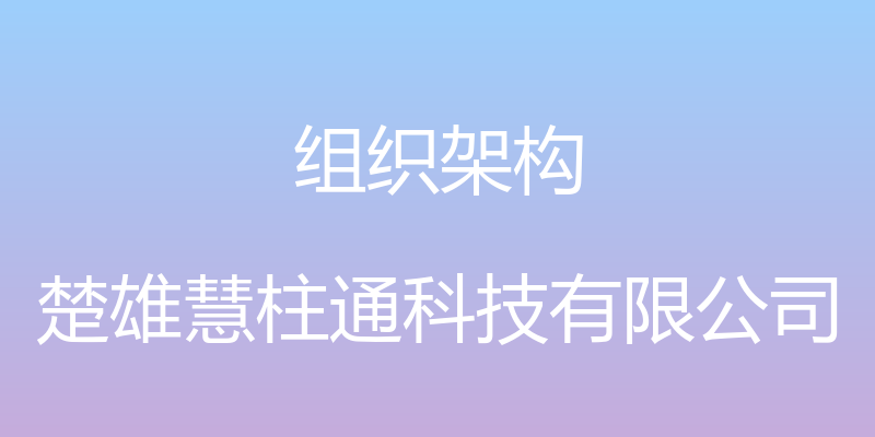 组织架构 - 楚雄慧柱通科技有限公司